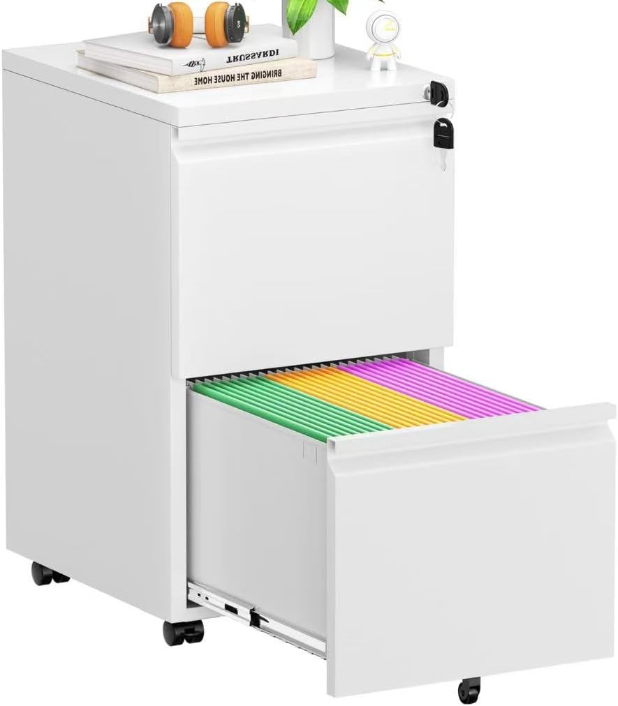 Superday 2 Drawer File Cabinet for Home Office Organization