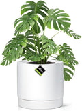10 in Ceramic Plant Pot with Drainage Hole and Saucer - Modern Matte