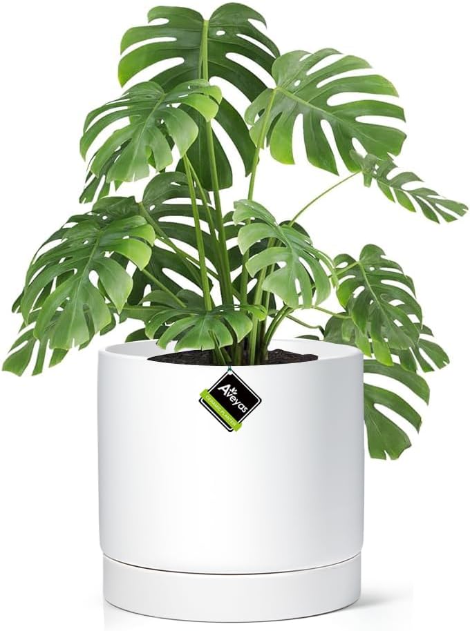 Aveyas 10 inch Ceramic Plant Pot with Drainage and Saucer