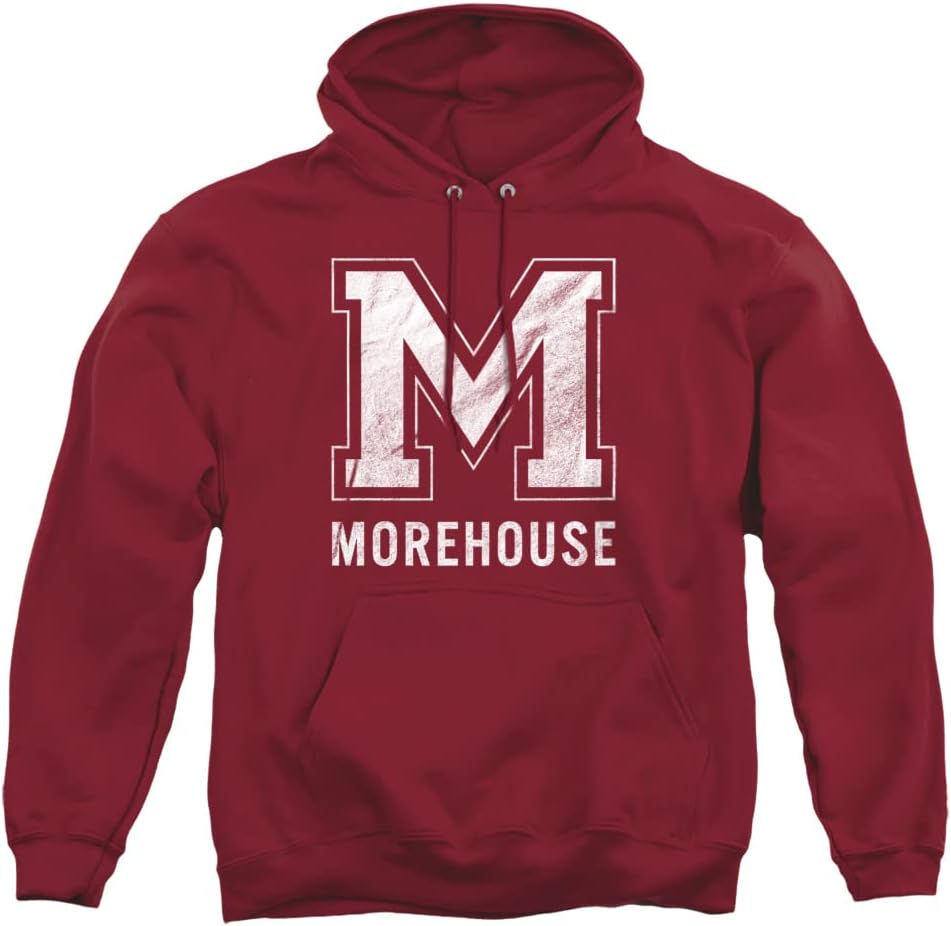 Official Collegiate Distressed Logo Pullover Hoodie for Fans