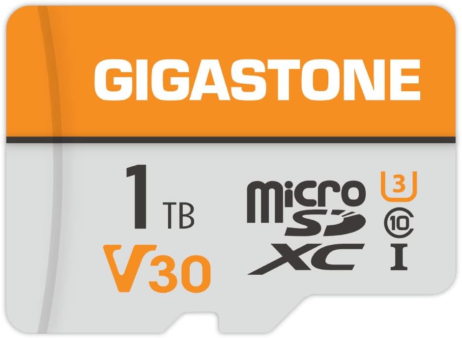 Ultimate 1TB 4K Video MicroSD for GoPro!