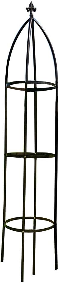 Garden Arch Trellis for Climbing Plants - Stunning Bronze Design