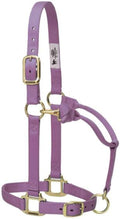 Adjustable Nylon Horse Halter in Hunter Orange - Durable Fit