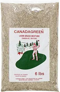 Canada Green Grass Seed for a Lush Lawn in Just Days