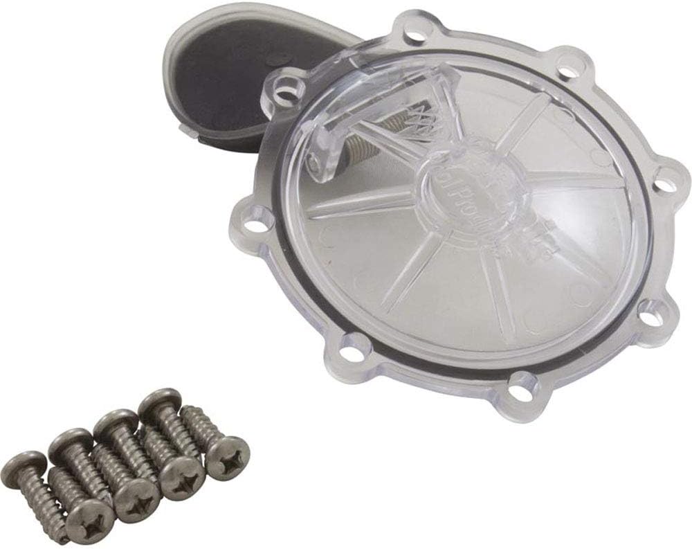 Pentair Rebuild Kit for Check Valve, CPVC 2in - Essential Upgrade