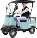Electric Golf Cart with XL Storage & Suspension