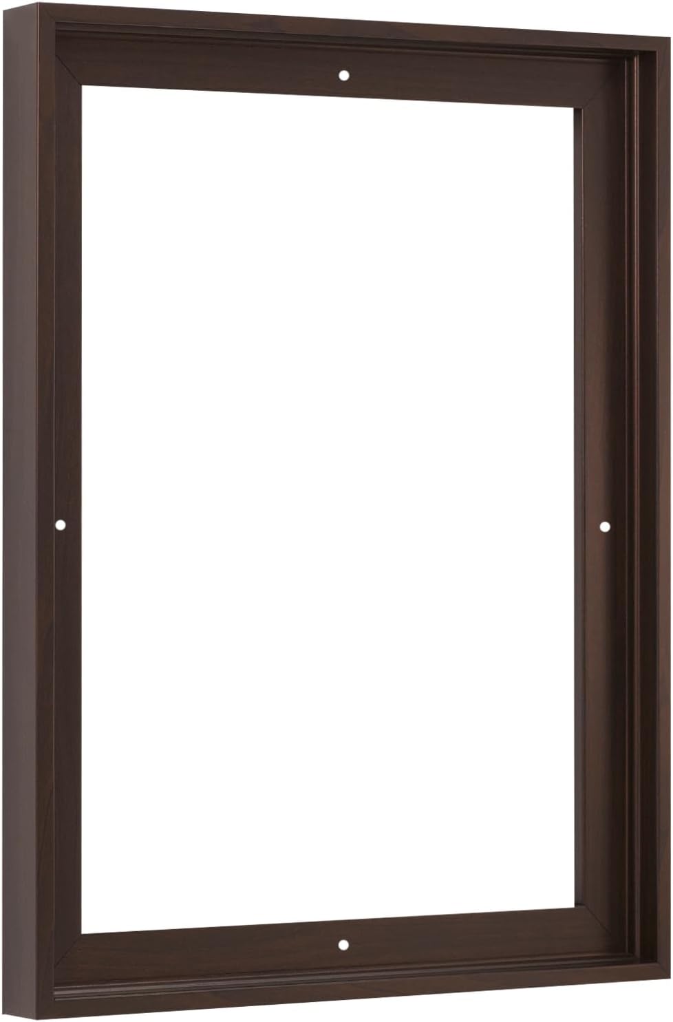 Pixy Canvas Floater Frame 5x10 for Deep Canvas Artwork