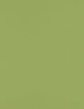 LUXPaper 8.5 in x 11 in Avocado Green Paper - Durable Multipurpose