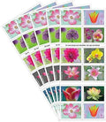 Garden Beauty Forever Stamps 100 Pack - Floral First-Class Postage