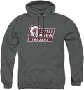 LOGOVISION Collegiate Distressed Primary Logo Pullover Hoodie ARKANSAS