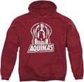 LOGOVISION Collegiate Distressed Primary Logo Adult (Style Q2HL)