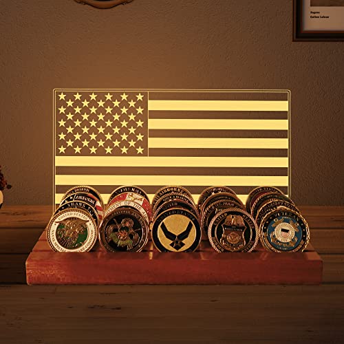 Ammonite Light up Challenge Coin Display for Military Gifts