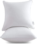 Leeden 24 x 24 Pillow Inserts (Set of 2) - Plush Cotton Fill