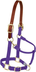 Breakaway Horse Halter with Supple Leather Crown - Durable Fit