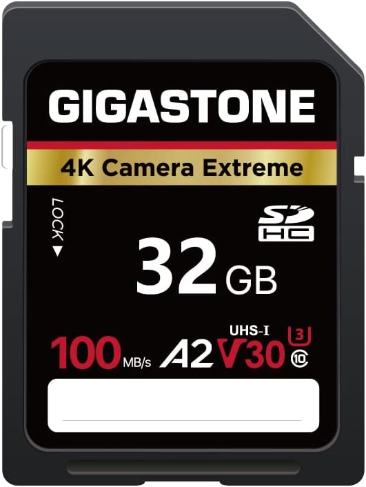 Ultimate Data Security: Gigastone 32GB SD Card