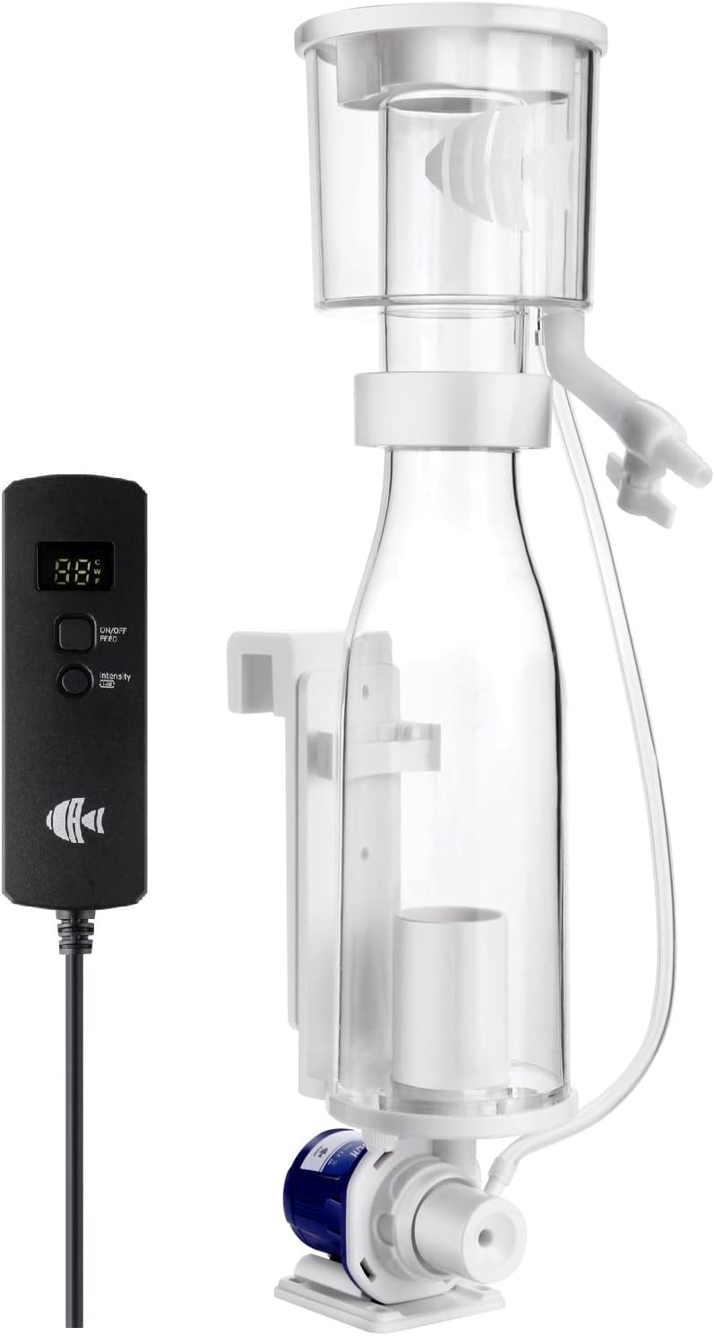 Protein Skimmers for Saltwater Aquariums: Efficient & Quiet