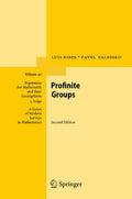 Profinite Groups - Authoritative Introduction and Reference