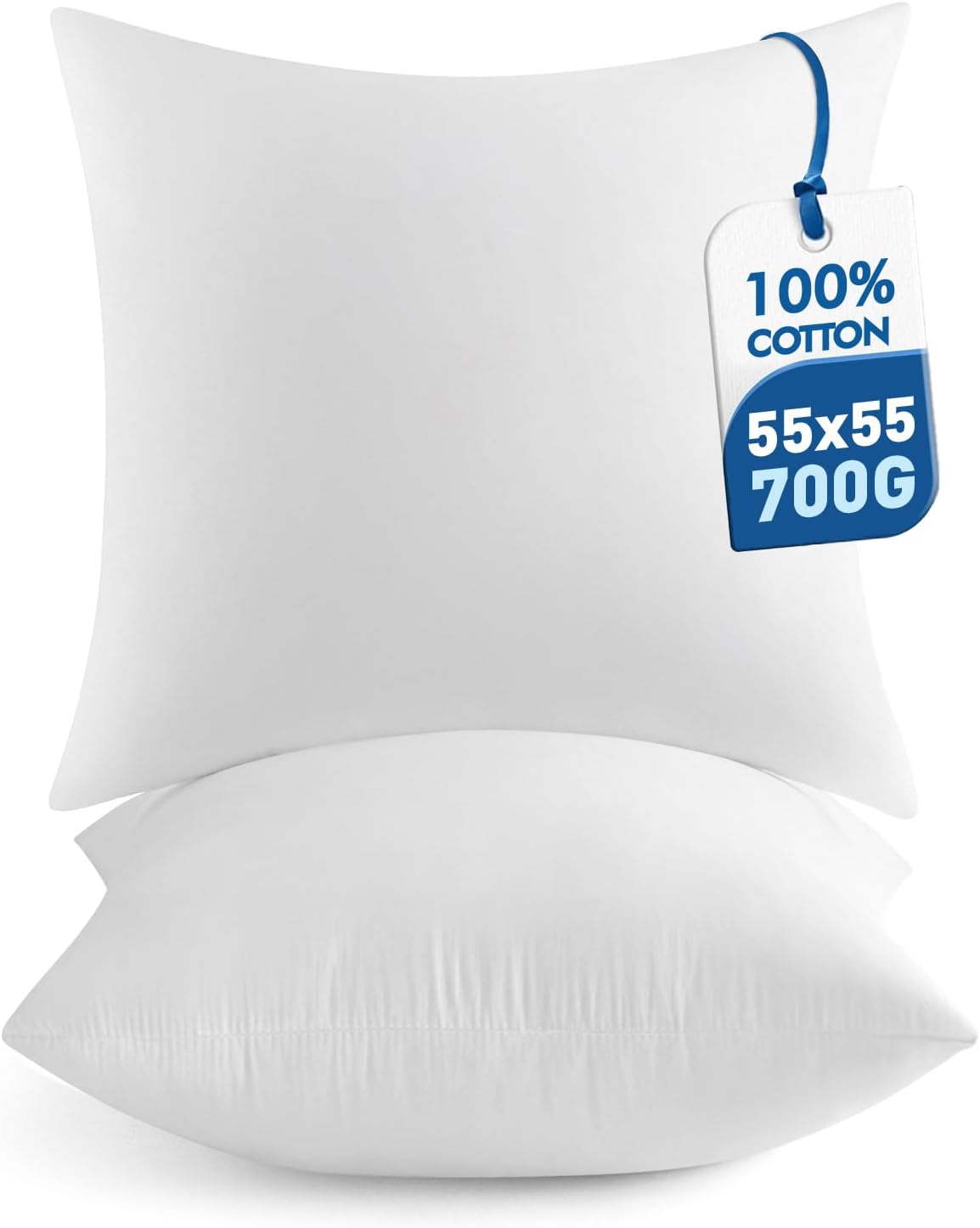 MIULEE 22x22 Pillow Inserts Set of 2 for Couch and Bed