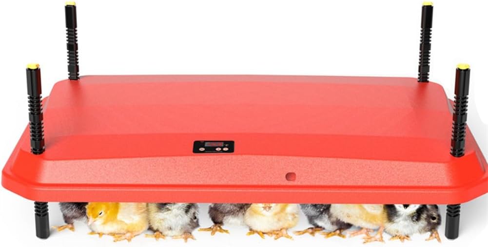 Tassteen Adjustable Chick Heating Plate - Keep Your Chicks Cozy!