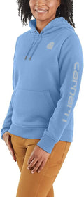 Carhartt Women's Clarksburg Graphic Sleeve Pullover (Style YNW4)