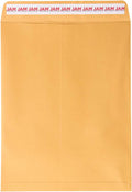 10 x 13 Brown Kraft Manila Catalog Envelopes - 250 Pack