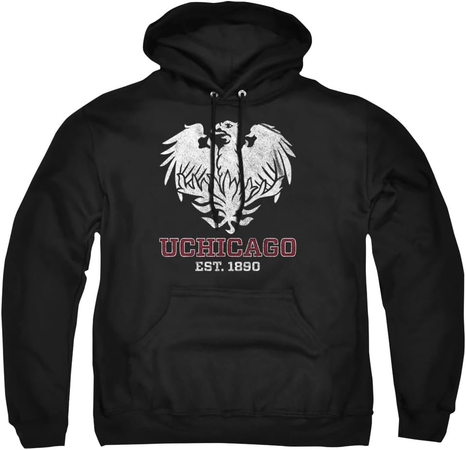 Official Collegiate Distressed Logo Adult Pullover Hoodie