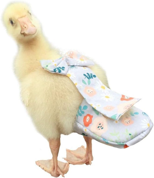 Waterproof Poultry Diapers - Adjustable & Reusable | HEZHUO