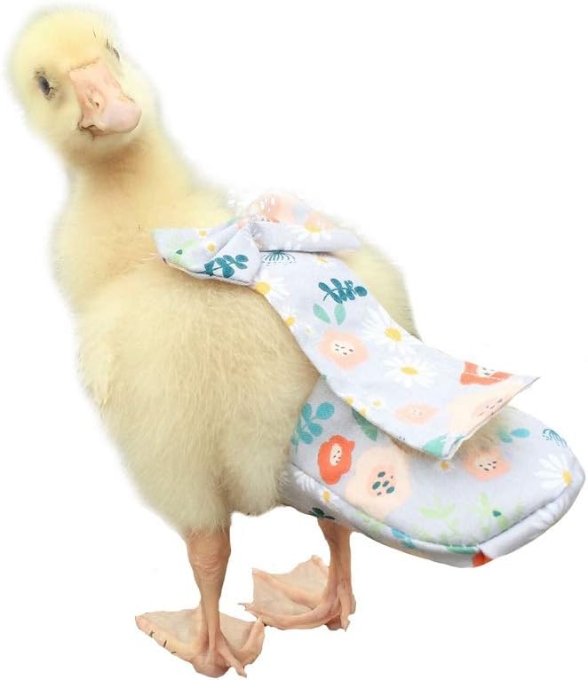 Waterproof Poultry Diapers - Washable & Adjustable!