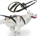 Professional Sled Dog Harness for Running, Weight Pulling & Canicross