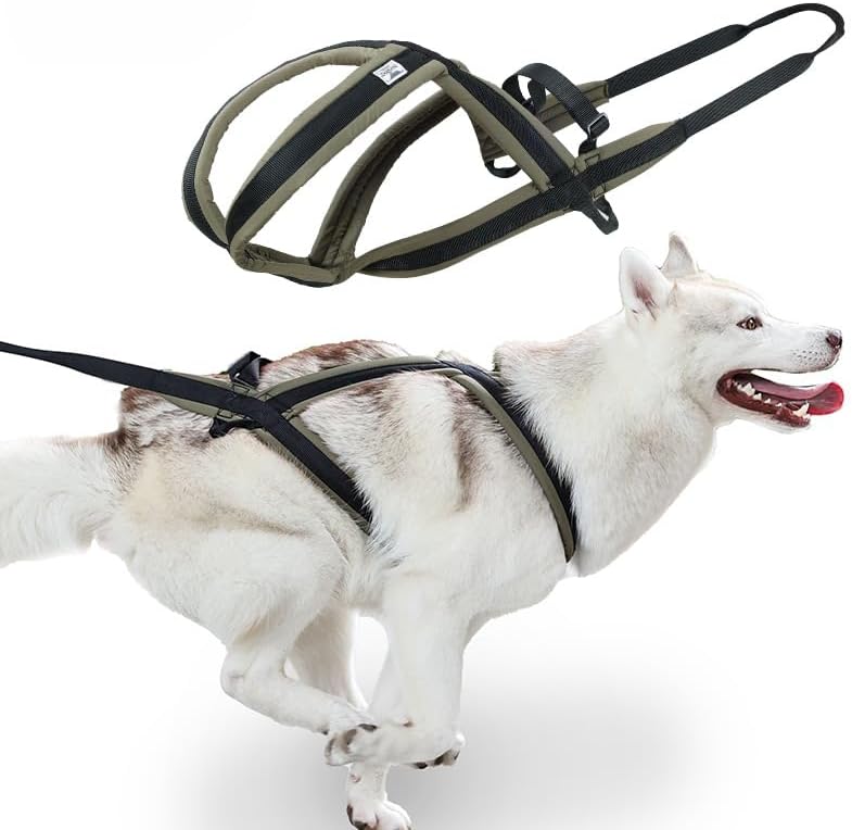 Professional Sled Dog Harness for Running, Weight Pulling & More