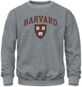 Barnesmith Spirit Logo Crewneck Sweatshirt for College - Comfortable
