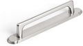 Goo-Ki Satin Nickel Cabinet Pulls with Long Backplate - Elegant 5ft