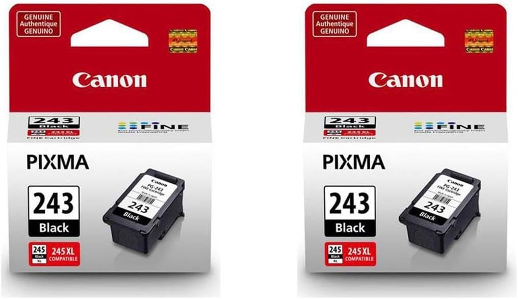 Canon PG-243 Black Ink Cartridge 2 Pack for PIXMA Printers