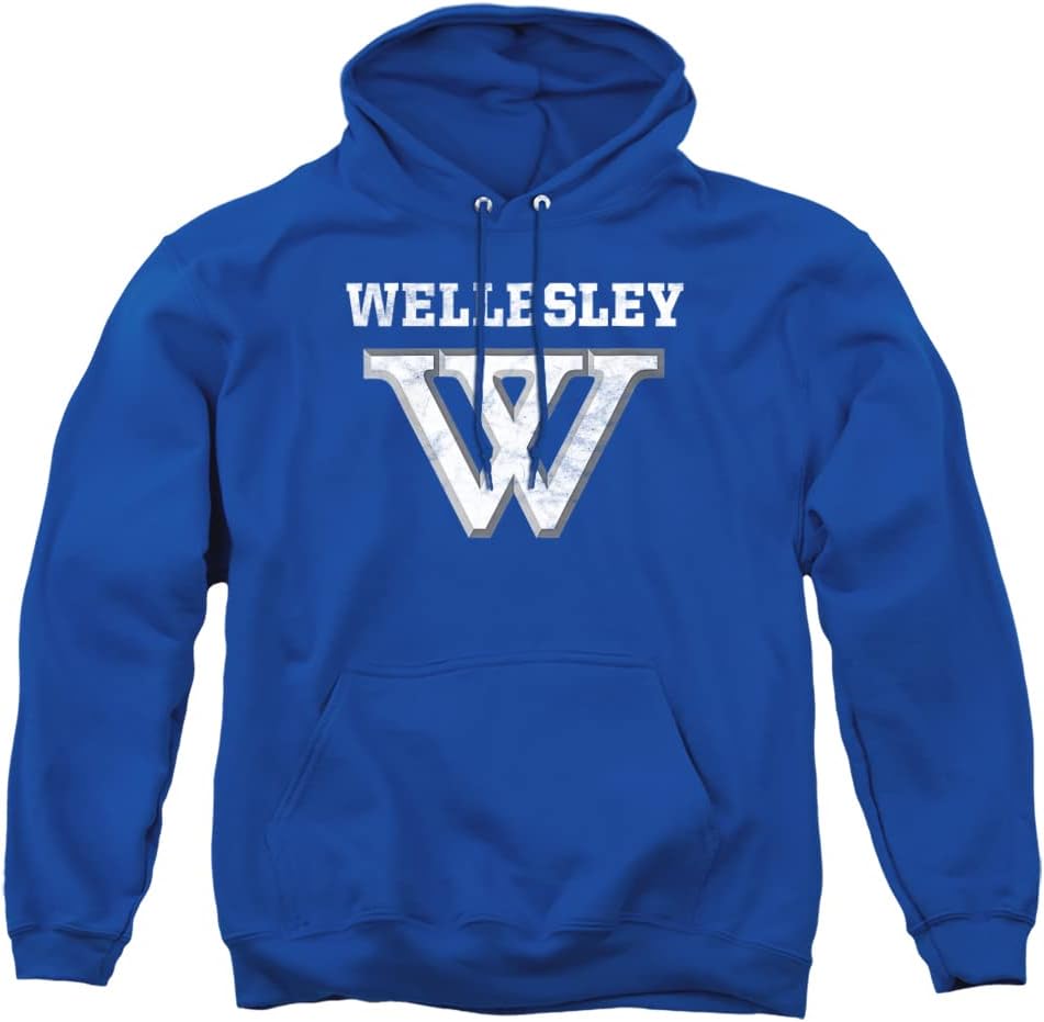 Official Collegiate Distressed Primary Logo Hoodie for Fans