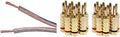 12AWG Oxygen-Free Copper 50ft Speaker Wire with 10 Pairs Banana Plugs