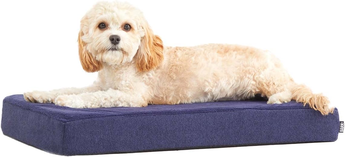Barkbox Orthopedic Dog Bed for Joint Relief and Comfort