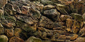 Rock Wall Aquarium Background Poster 72 in x 20 in - Realistic PVC