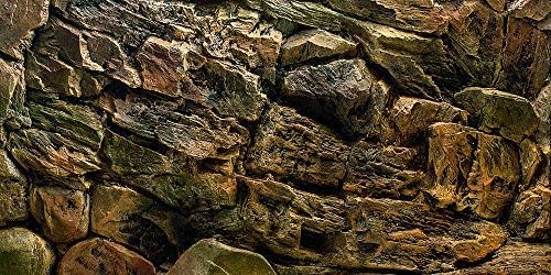 Rock Wall Aquarium Background Poster for Stunning Fish Tanks