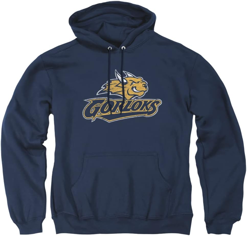 Official Collegiate Distressed Primary Logo Hoodie for Fans