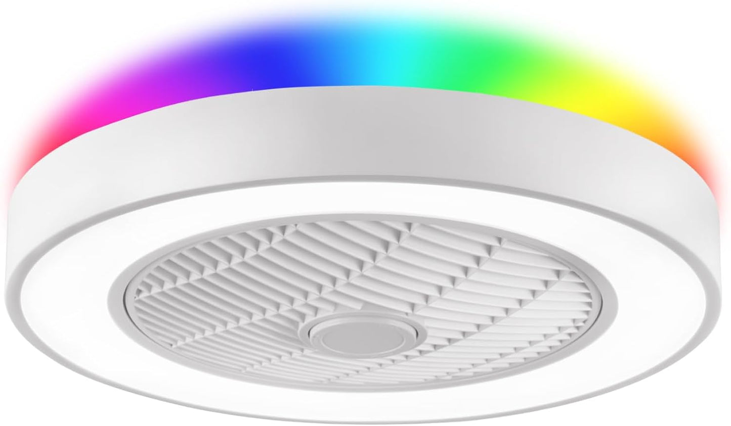 LEDIARY 20 Inch Low Profile Ceiling Fan with Lights and Remote
