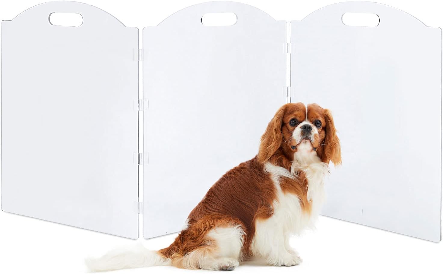Clear Acrylic Freestanding Dog Gates for Indoor Use and Safety