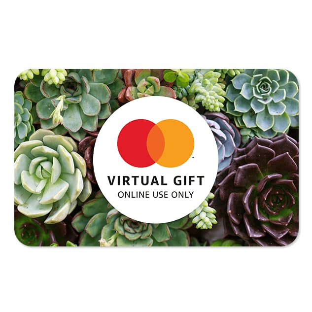 Mastercard Virtual eGift Card for Online Use - $100 Value