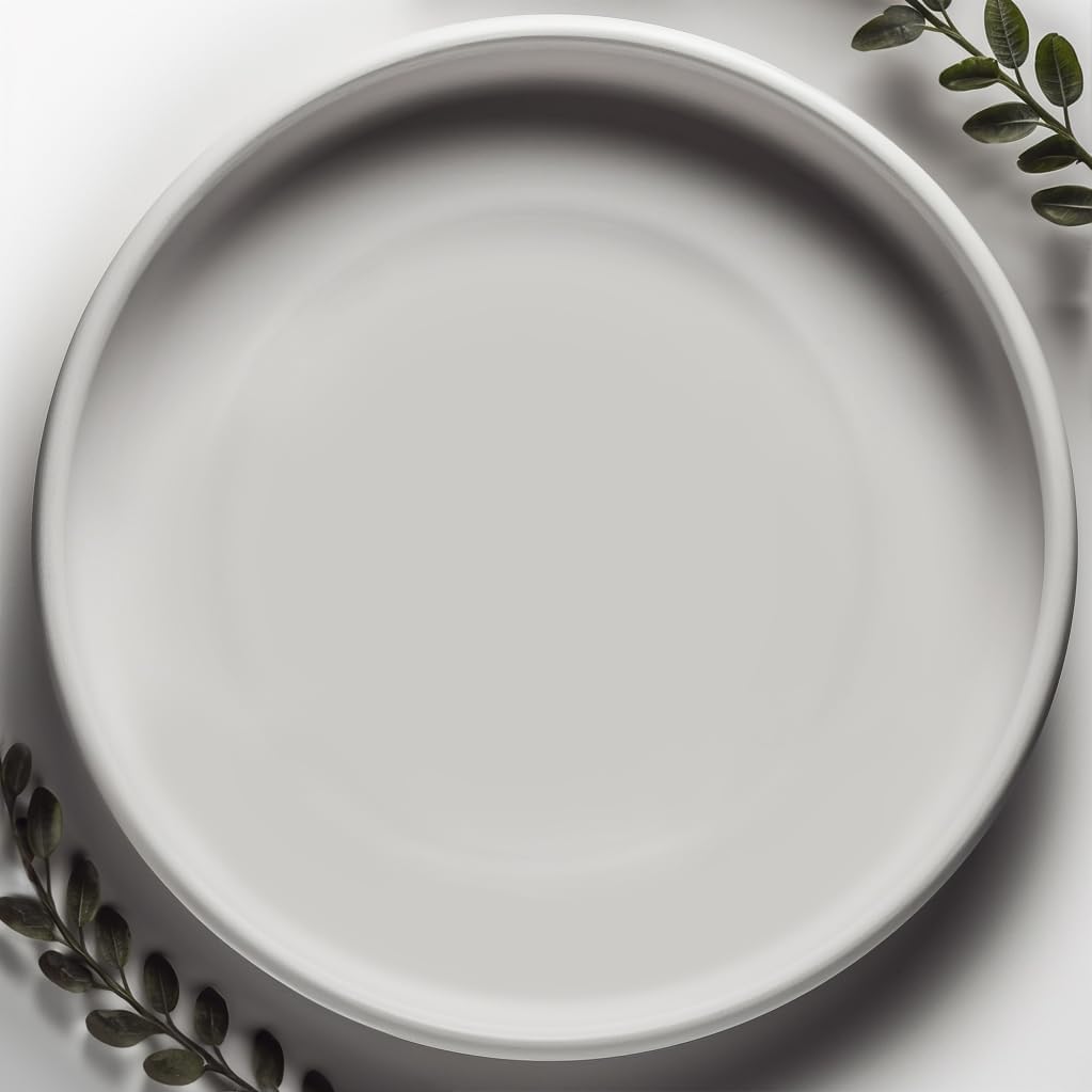 Willowy Matte White Ceramic Pot Saucer for 12 to 15 Inch Planters