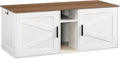 Double Litter Box Enclosure - Hidden Cat Litter Cabinet with Storage