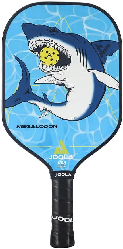 JOOLA Pickleball Paddle for Kids - Durable & Beginner-Friendly