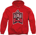 LOGOVISION Collegiate Distressed Primary Logo Pullover Hoodie team