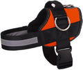 Joyride Basic Essential Dog Harness 1.0 - No-Pull Comfort Fit