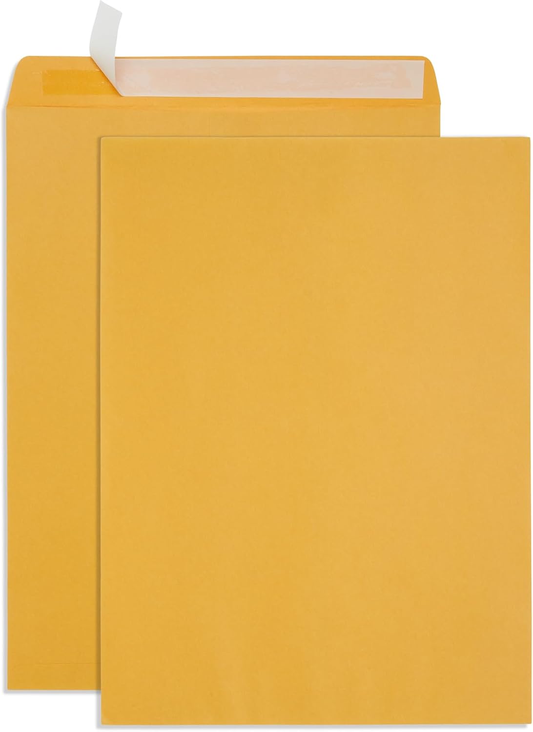 Blue Summit Large Mailing Envelopes 13x18 for Secure Shipping