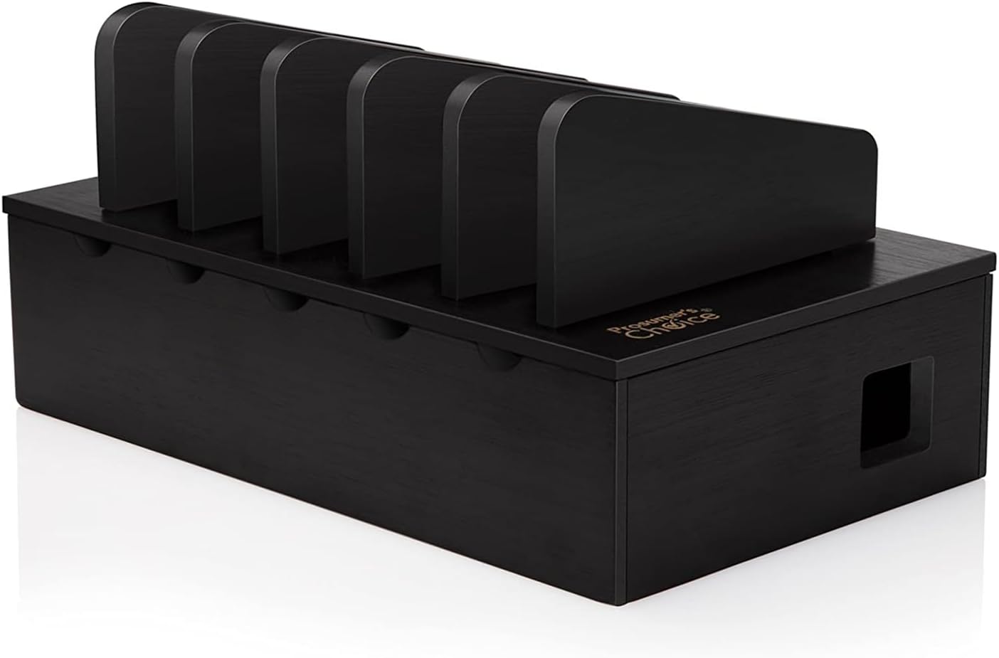 Prosumer's Choice Charging Station for Multiple Devices - Black