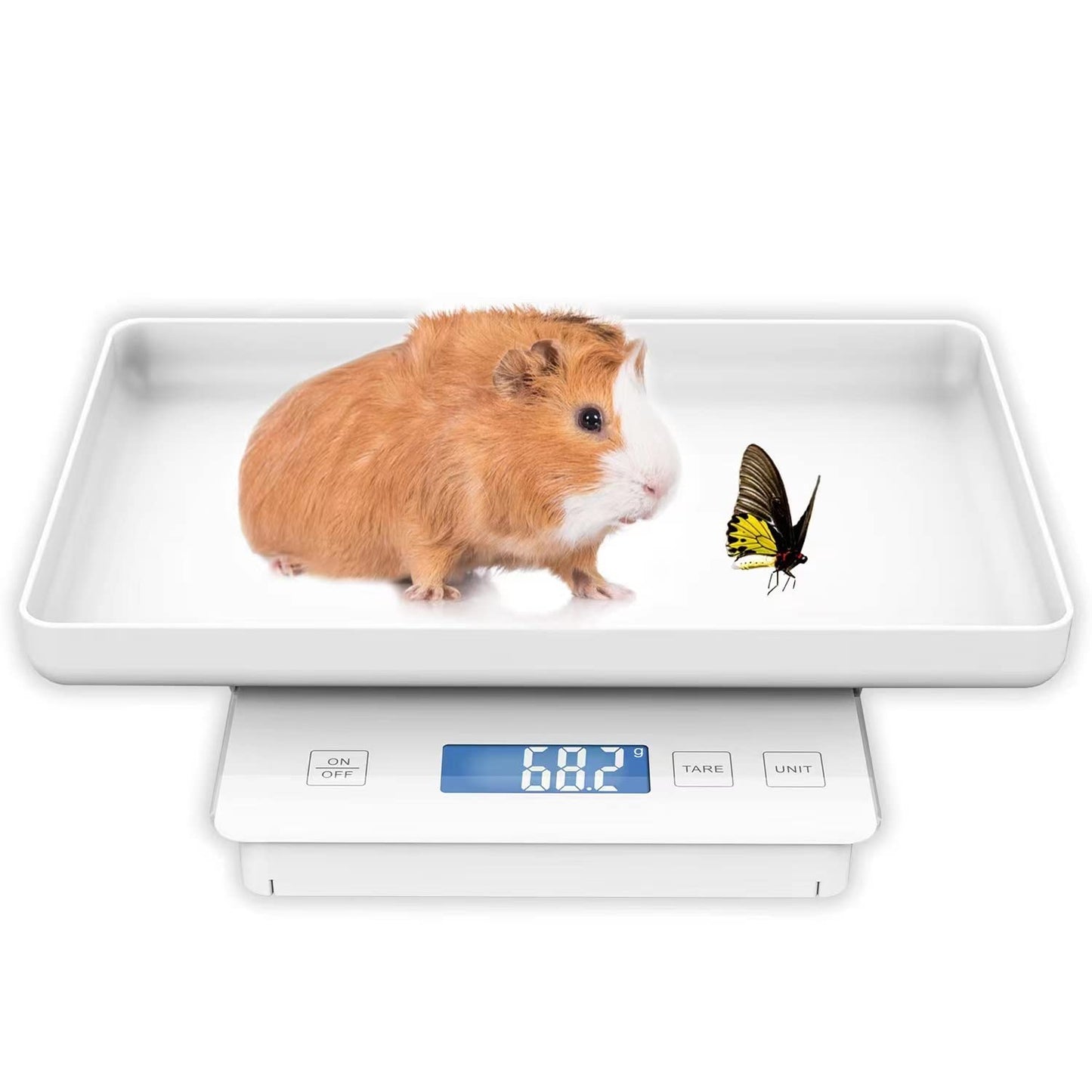 High Precision 11lbs Pet Scale for Small Animals and Kittens